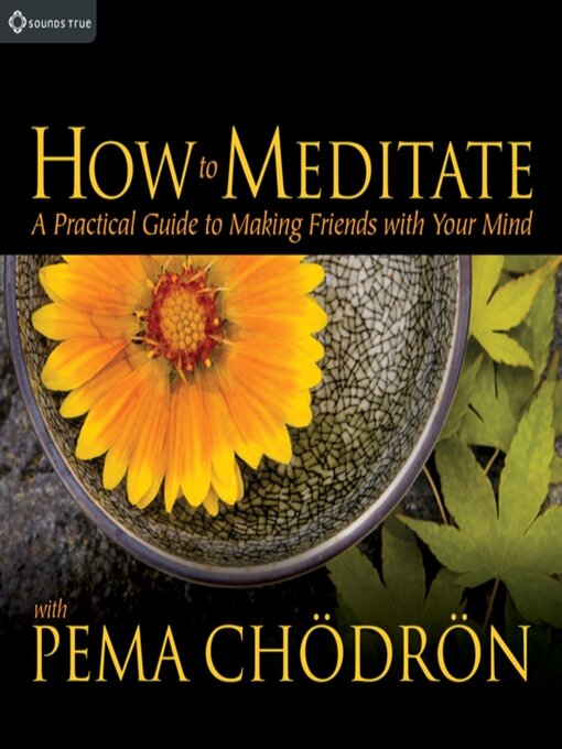 Title details for How to Meditate with Pema Chödrön by Pema Chödrön - Available